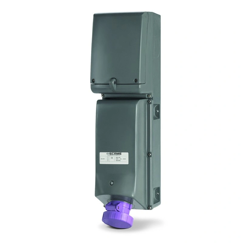 Gniazdo ADVANCE GRP 16A 2P 24V IP66