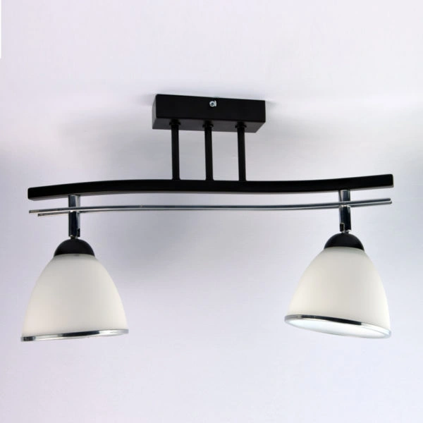 Lampa sufitowa podwójna U2