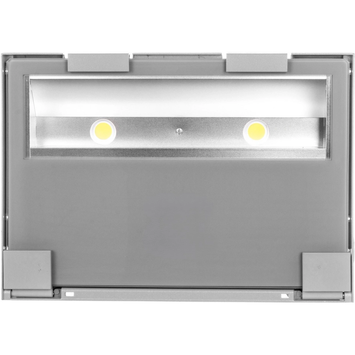 Projektor Delta LED GUELL 2/A40/W 114W